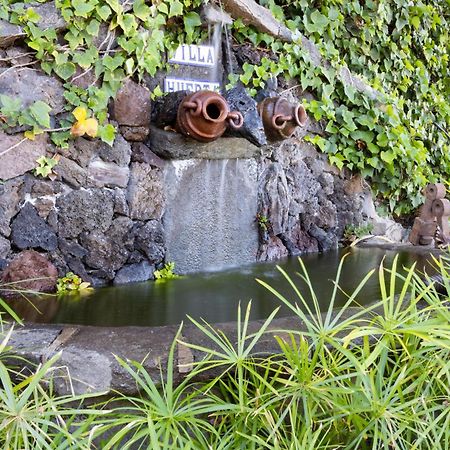 Casa Los Grabados, Piscina, Vistas, Barbacoa Y Zen Icod De Los Vinos Exterior foto